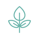 Plant-Based Ingredients
