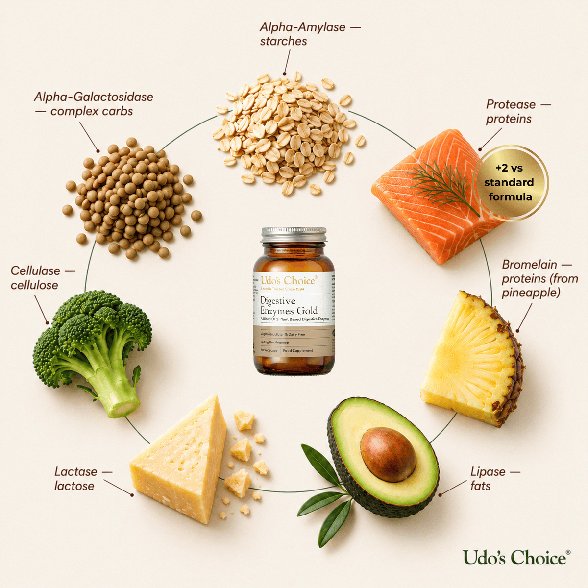 Udo's Choice Enzymes Gold | Digestive Enzymes - 60 Day Supply