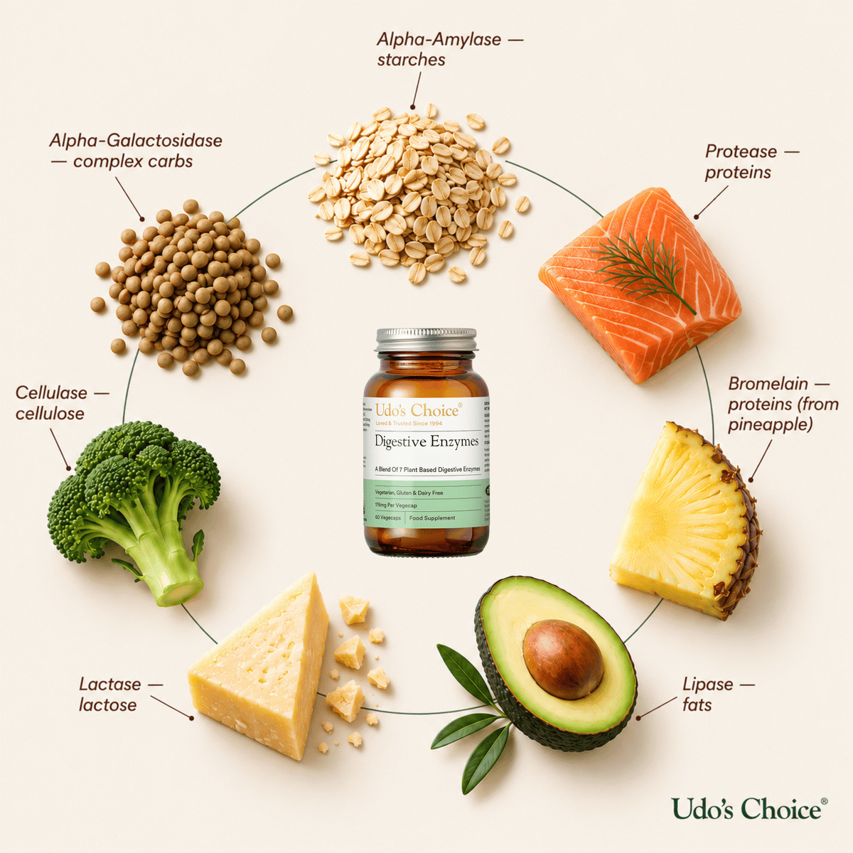 A bottle of Udo's Choice Digestive Enzymes is centered on a light beige background, surrounded by labeled food items and enzymes: broccoli, lactose, starches, proteins, fats, and pineapple protein. The bottle label reads Udo's Choice, and the same brand appears in the bottom right corner.